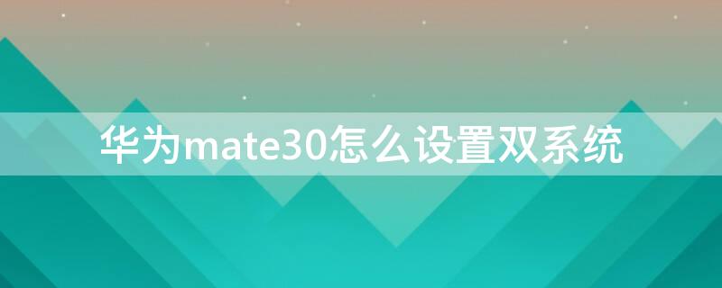 华为mate30怎么设置双系统 华为mate30pro怎么设置双系统