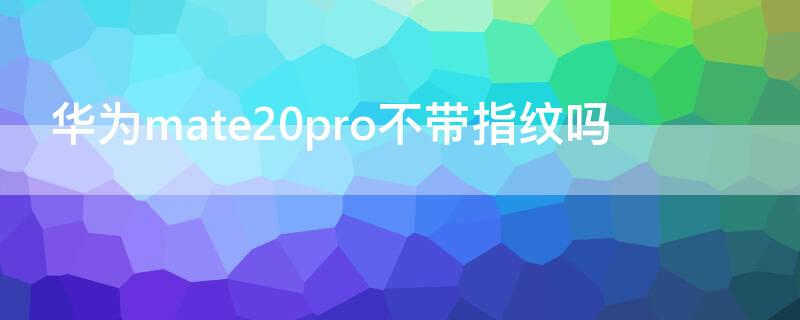 华为mate20pro不带指纹吗（mate20pro指纹不能用）