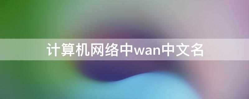 计算机网络中wan中文名 计算机网络中wan的中文名是什么