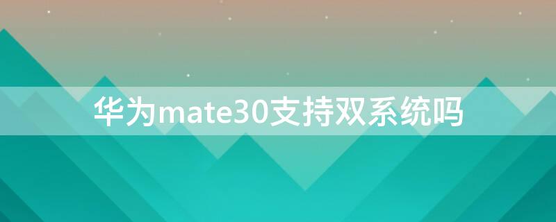 华为mate30支持双系统吗 华为mate30epro支持双系统吗