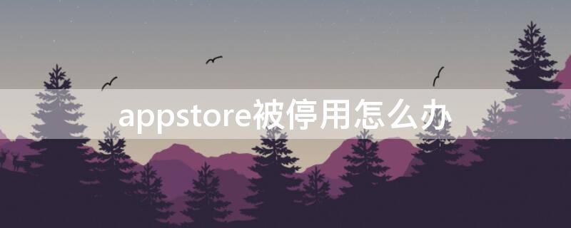 appstore被停用怎么办 app store停用怎么办