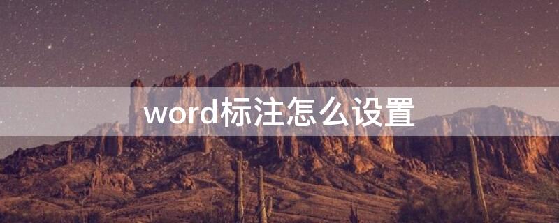 word标注怎么设置（word里的标注怎么标注）