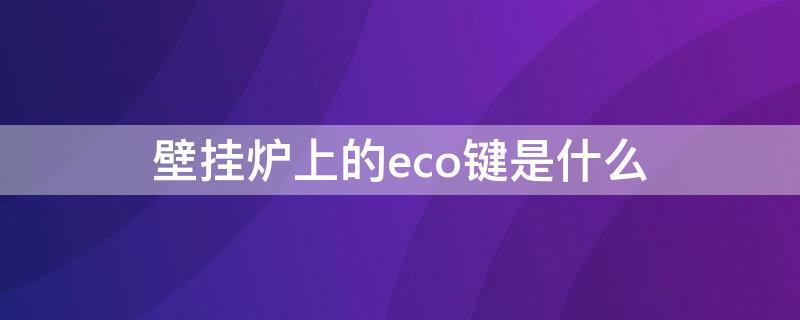 壁挂炉上的eco键是什么（壁挂炉eco使用说明）