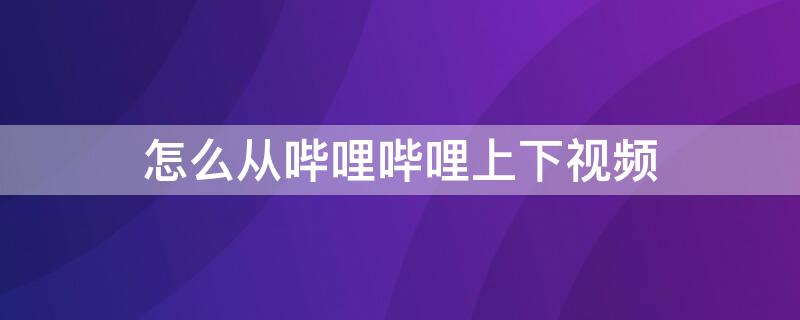 怎么从哔哩哔哩上下视频 怎么从哔哩哔哩上下视频到U盘