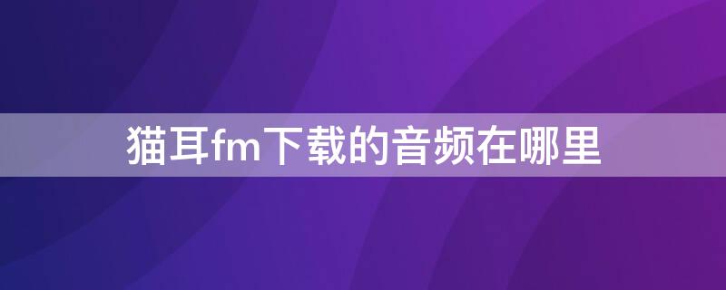 猫耳fm下载的音频在哪里（猫耳fm下载文件在哪）