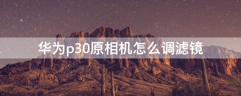 华为p30原相机怎么调滤镜 华为p30怎么设置原相机