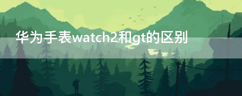 华为手表watch2和gt的区别（华为手表watch gt2和watch2区别）