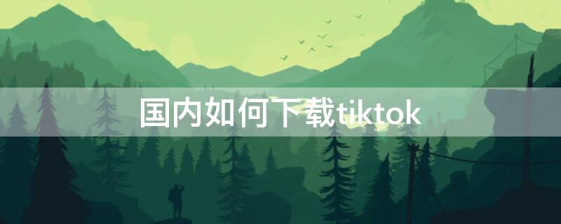 国内如何下载tiktok（国内如何下载TikTok）