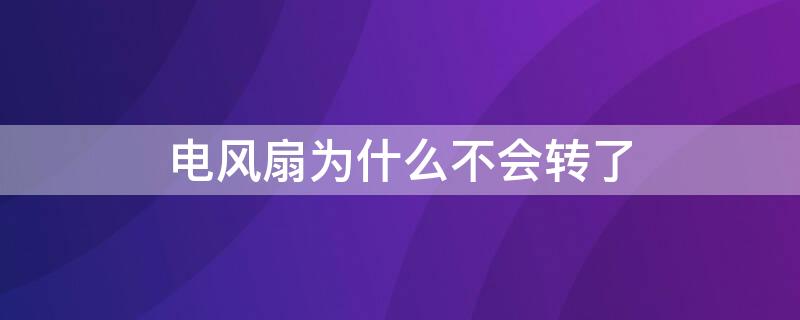 电风扇为什么不会转了（电风扇会转却没风是为什么）