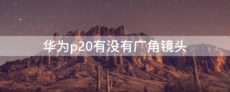 华为p20有没有广角镜头（华为p20有没有广角拍摄）