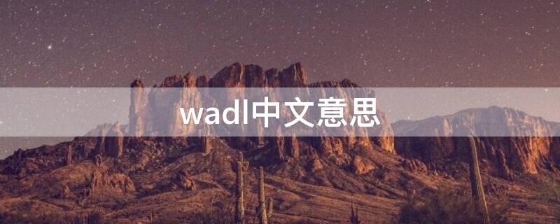 wadl中文意思（wad中文是什么意思）