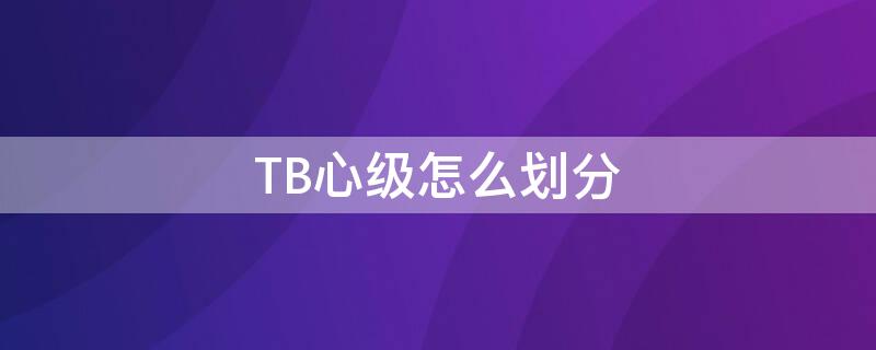 TB心级怎么划分（tb心级怎么看）