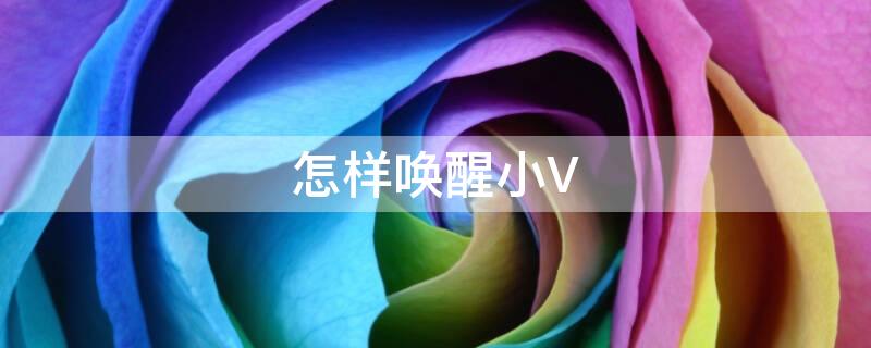 怎样唤醒小V 怎样唤醒小vi