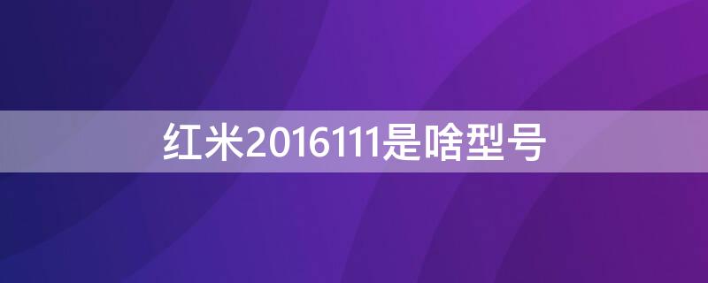 红米2016111是啥型号（红米2016111是啥型号的）