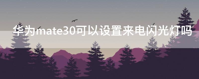 华为mate30可以设置来电闪光灯吗（华为mate30pro能设置来电闪光灯吗）