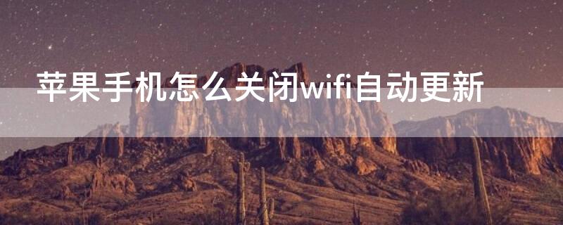 iPhone手机怎么关闭wifi自动更新（怎么关闭苹果手机wifi自动更新）