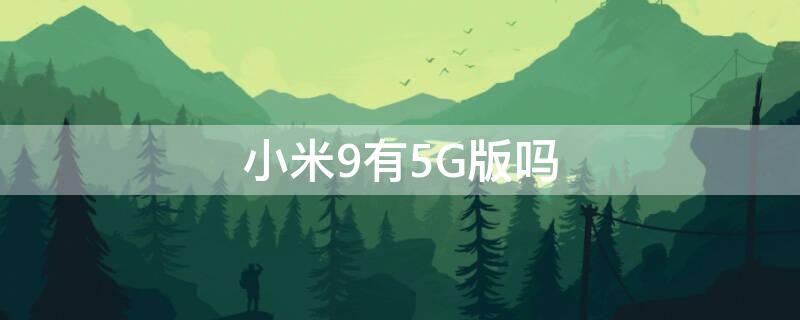 小米9有5G版吗（小米9手机5g版）