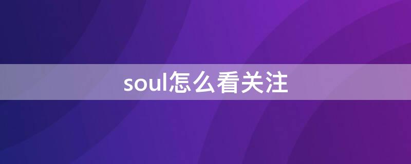 soul怎么看关注（soul怎么看关注时间）