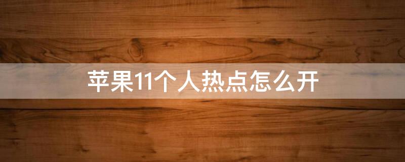 iPhone11个人热点怎么开（iphone11的个人热点怎么开）