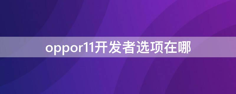 oppor11开发者选项在哪 OPPOR11开发者选项在哪里