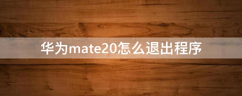 华为mate20怎么退出程序 mate20如何退出程序