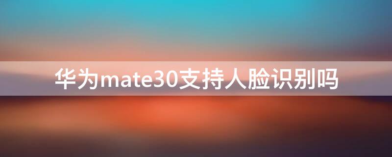 华为mate30支持人脸识别吗（华为mate30可以人脸识别吗）