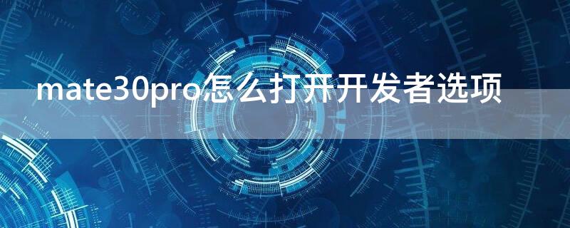 mate30pro怎么打开开发者选项 mate30e Pro怎么打开开发者选项