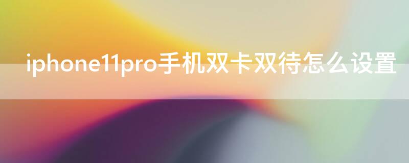 iPhone11pro手机双卡双待怎么设置（苹果11pro双卡双待怎么设置）