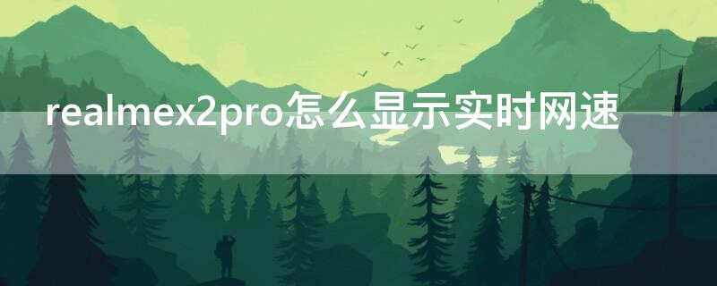 realmex2pro怎么显示实时网速（realmex50pro网速很慢）