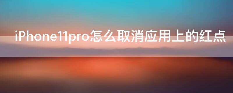 iPhone11 Pro Max怎么取消应用上的红点