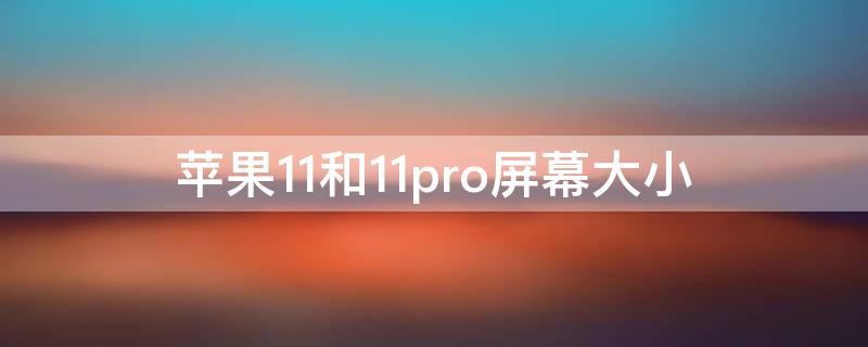 iPhone11和11pro屏幕大小（iphone11和11pro屏幕大小对比）