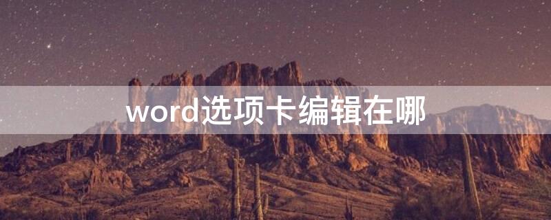 word选项卡编辑在哪 word中怎么设置选项卡