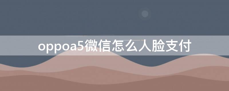 oppoa5微信怎么人脸支付（opporeno5怎么设置微信人脸支付）