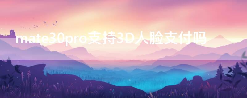 mate30pro支持3D人脸支付吗（mate30pro支持3d人脸识别吗）