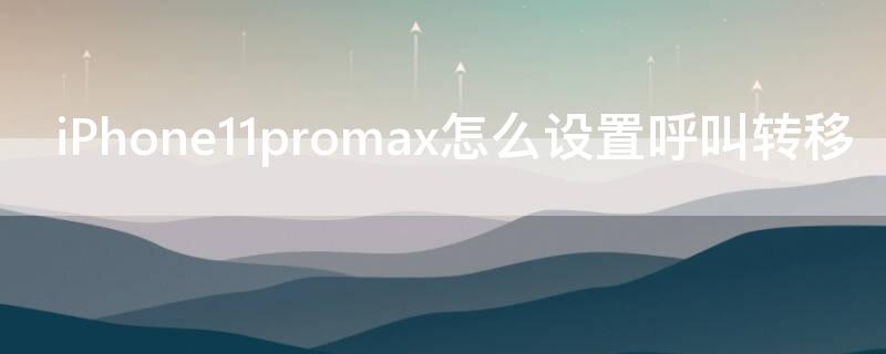 iPhone11 Pro Maxmax怎么设置呼叫转移