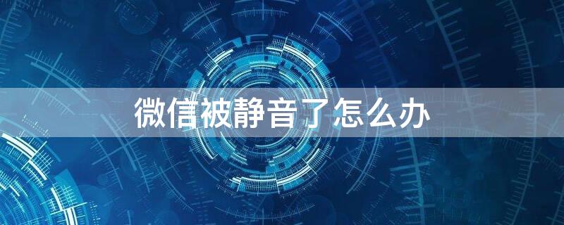 微信被静音了怎么办 微信静音了怎么回事