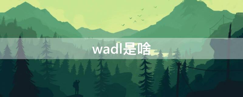 wadl是啥 wadr啥意思