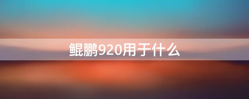 鲲鹏920用于什么 鲲鹏920什么水平