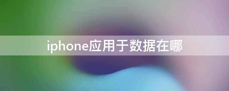 iPhone应用于数据在哪（iphone手机应用与数据在哪里）