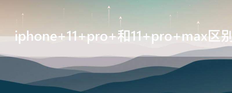 iPhone 11 pro 和11 pro max区别