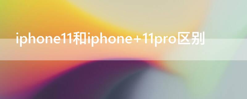 iPhone11和iPhone iphone11和iphone13对比