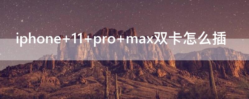 iPhone 11 pro max双卡怎么插