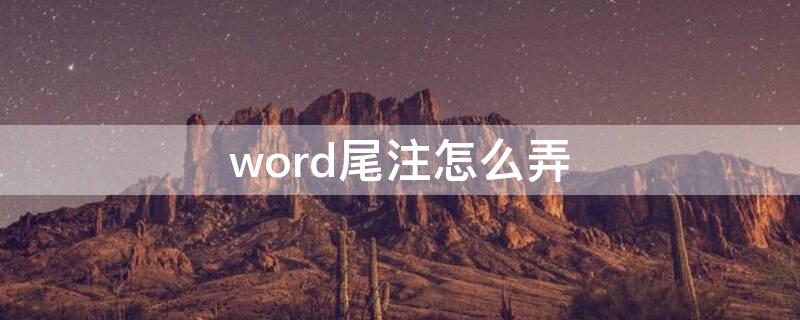 word尾注怎么弄（word尾注怎么加）