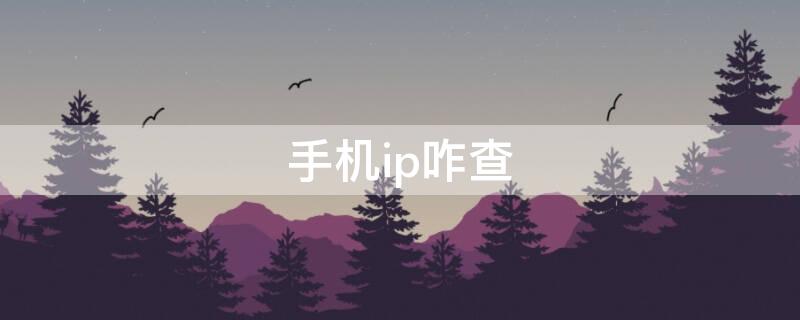 手机ip咋查（手机IP怎么查）