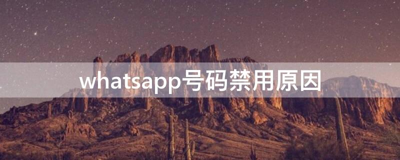 whatsapp号码禁用原因 解决whatsapp号码禁用