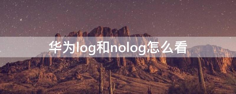 华为log和nolog怎么看（华为系统no log 和 log 版什么区别呢?）