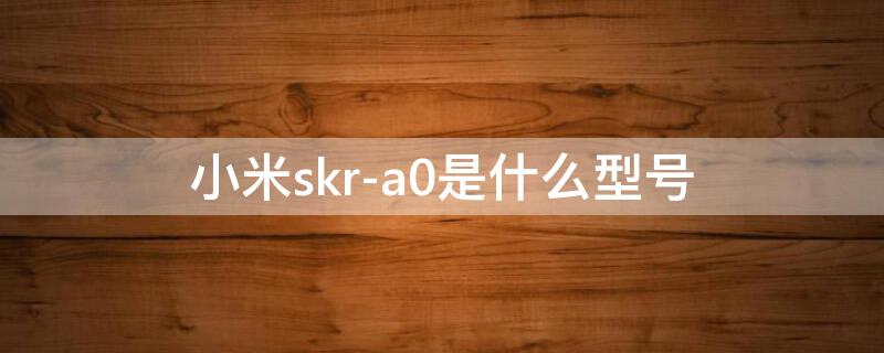 小米skr-a0是什么型号（小米SKR_AO是什么型号）