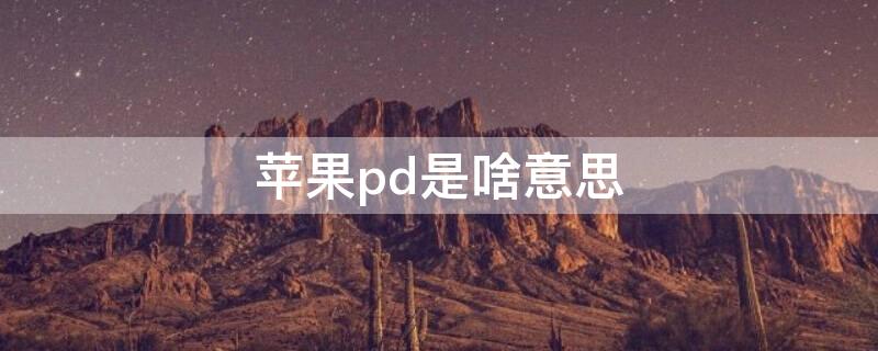 iPhonepd是啥意思（苹果12pd是什么意思啊）