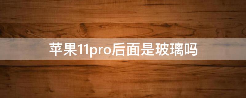 iPhone11pro后面是玻璃吗（苹果11pro后玻璃）