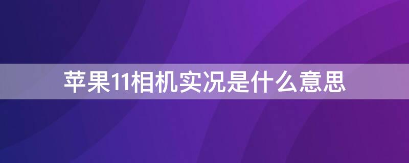 iPhone11相机实况是什么意思 苹果11拍照实况是什么